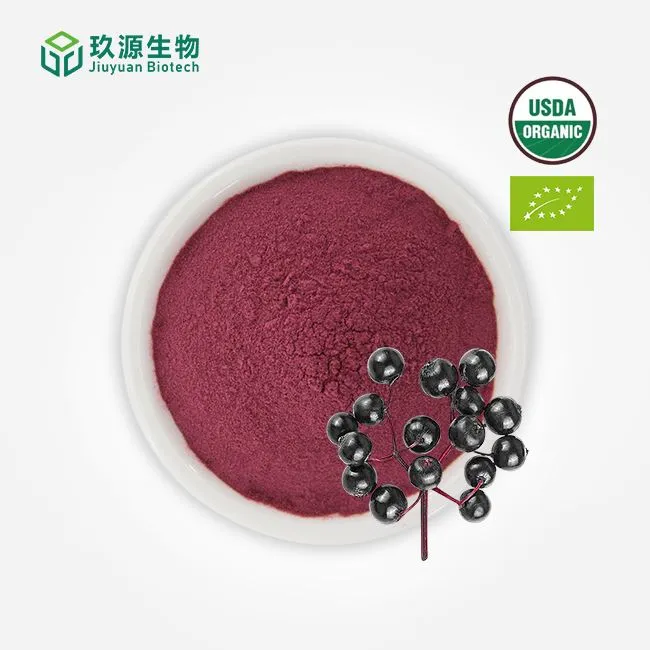 Organic Elderberry Powder manufacturers