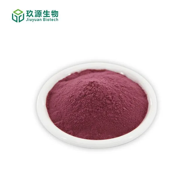 Organic Elderberry Powder suppliers