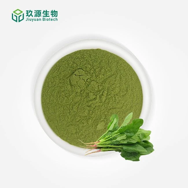 Dehydrated Spinach Powder manufacturers