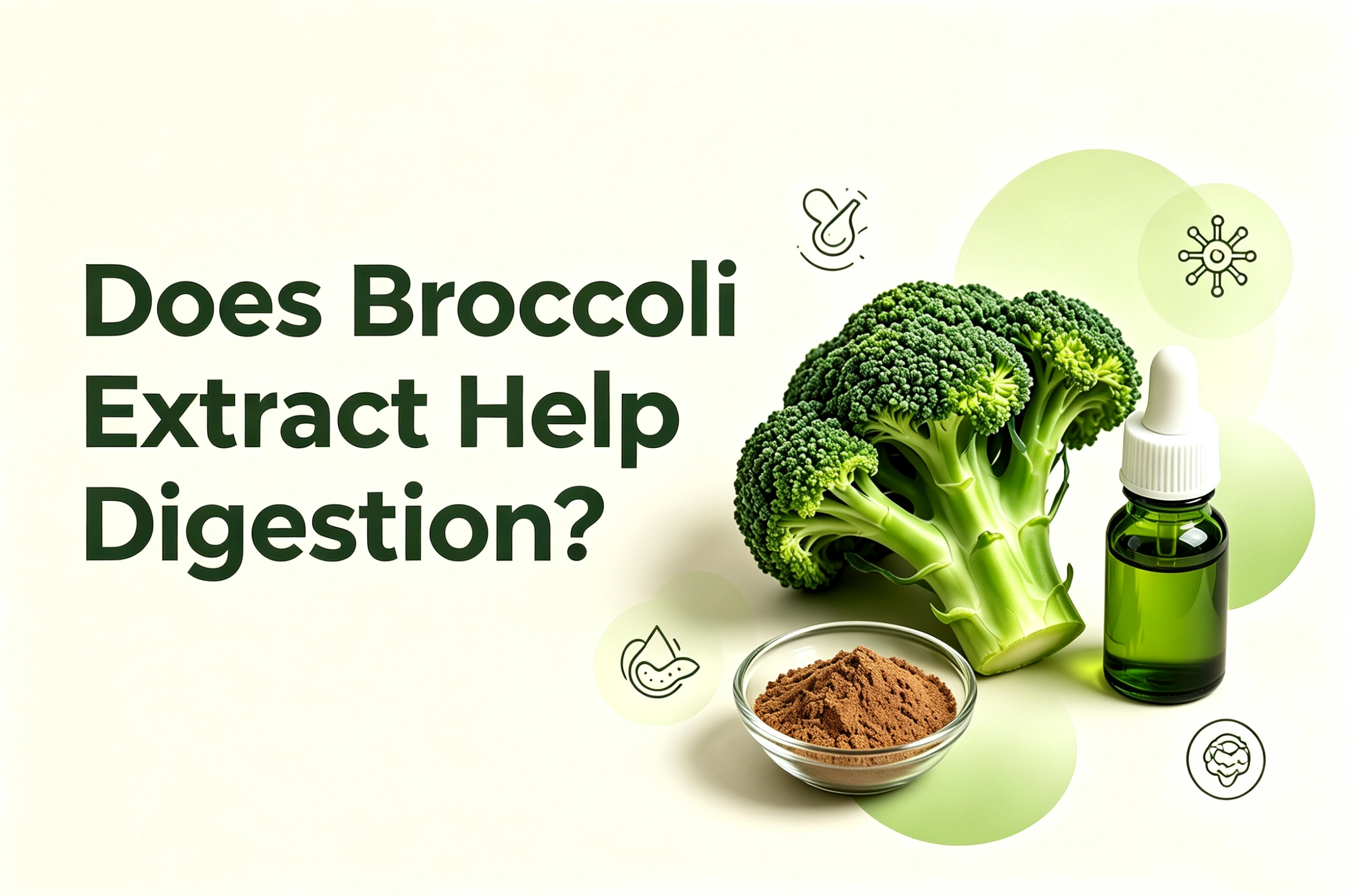 Does Broccoli Extract Help Digestion?