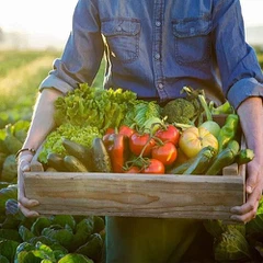 Organic Plant Extract