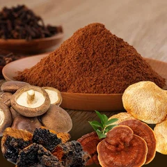 Mushroom Extract Powder