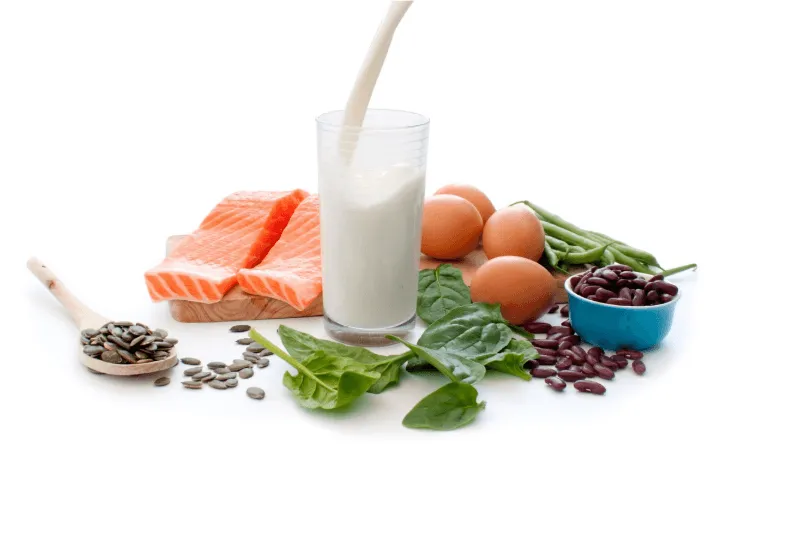 High protein and low fat High protein and low fat