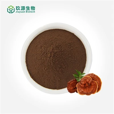 Reishi Mushroom Extract Powder