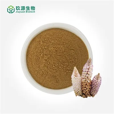 Cistanche Extract Powder