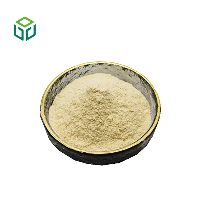 Yeast β-glucan Extract Powder factory